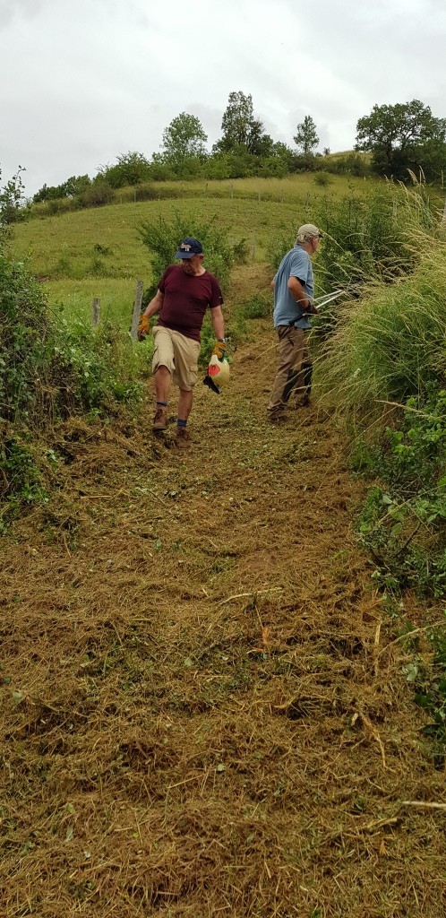 Entretiens des chemins 01 07 21 14 