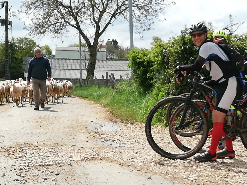 Rando VTT La Passejade (7)