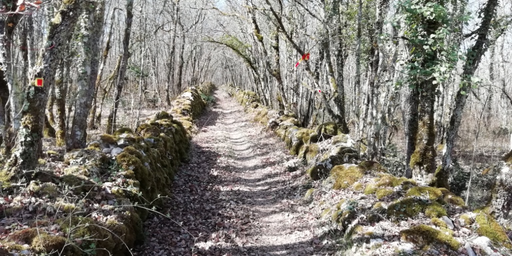 Rando VTT Les Gariottes (15) - Copie