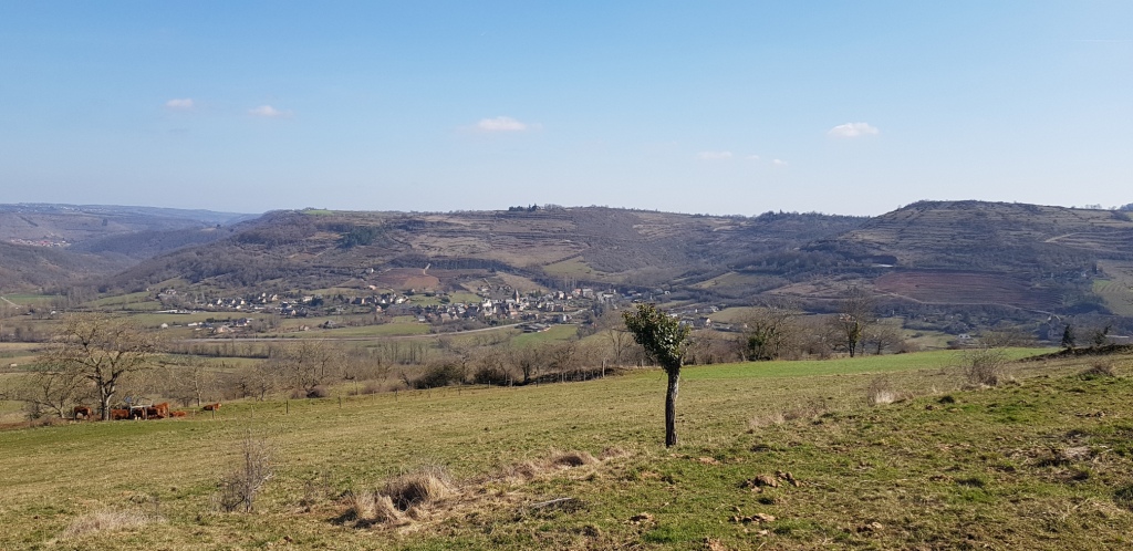 Sortie VTT 24 Février 2019 (10)