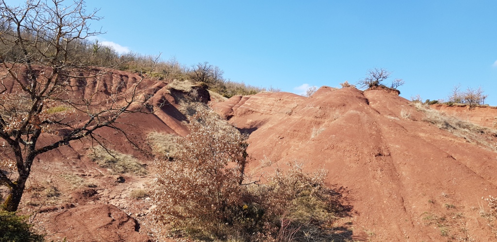 Sortie VTT 24 Février 2019 (11)