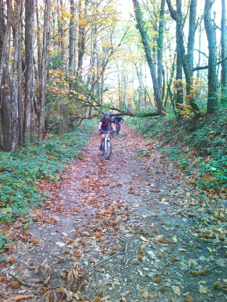 Sortie vtt 25 oct 2020 1 