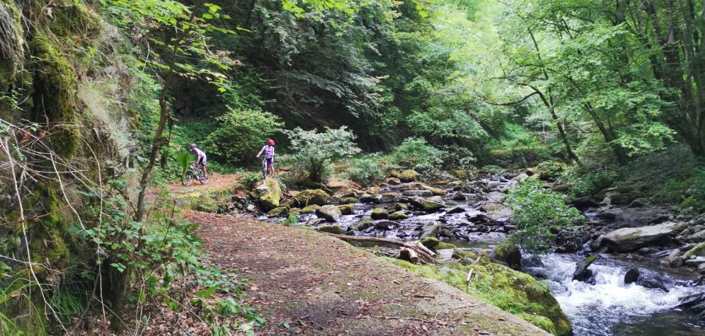 Sorties VTT et Trails Juillet Août Sept (103)