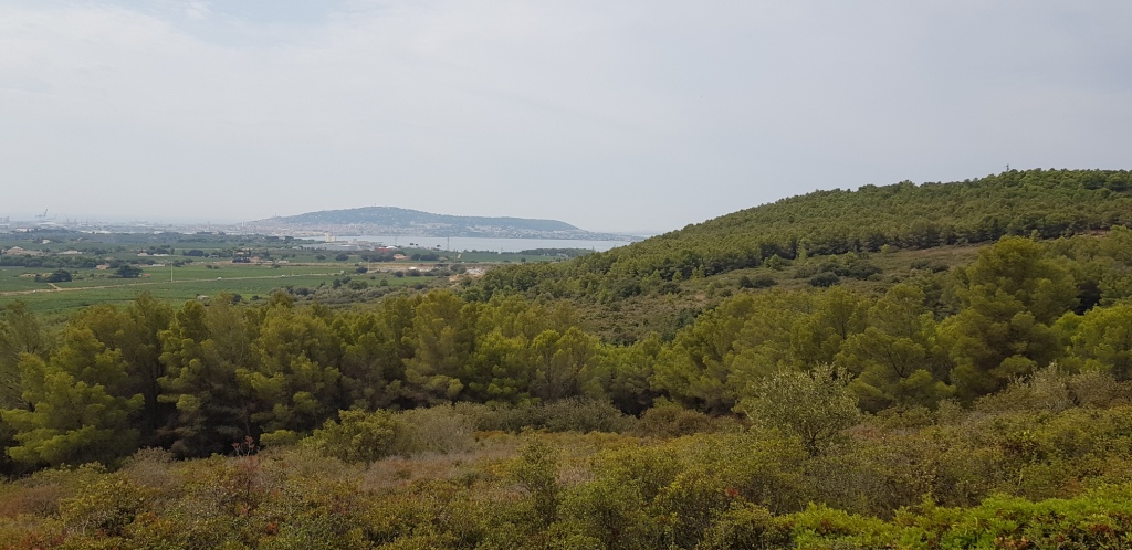 Sorties VTT et Trails Juillet Août Sept (28)